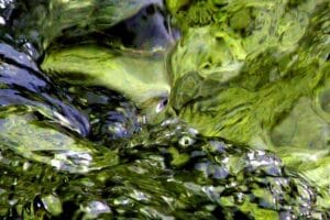 Lo spirito delle acque mi guarda