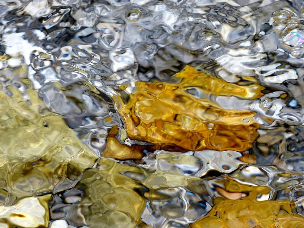 trasmutazione continua