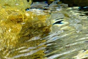 visione dal regno dei palazzi d'oro